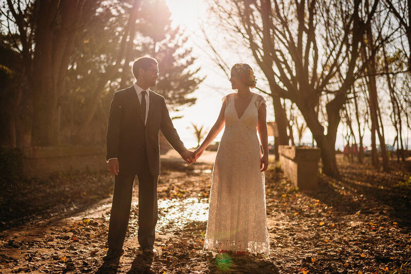 Novios de la mano en el bosque