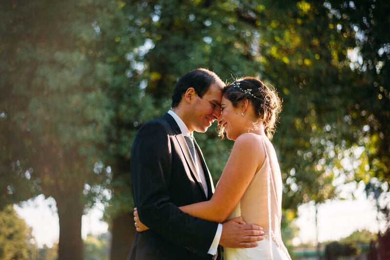 Novios abrazados entre árboles