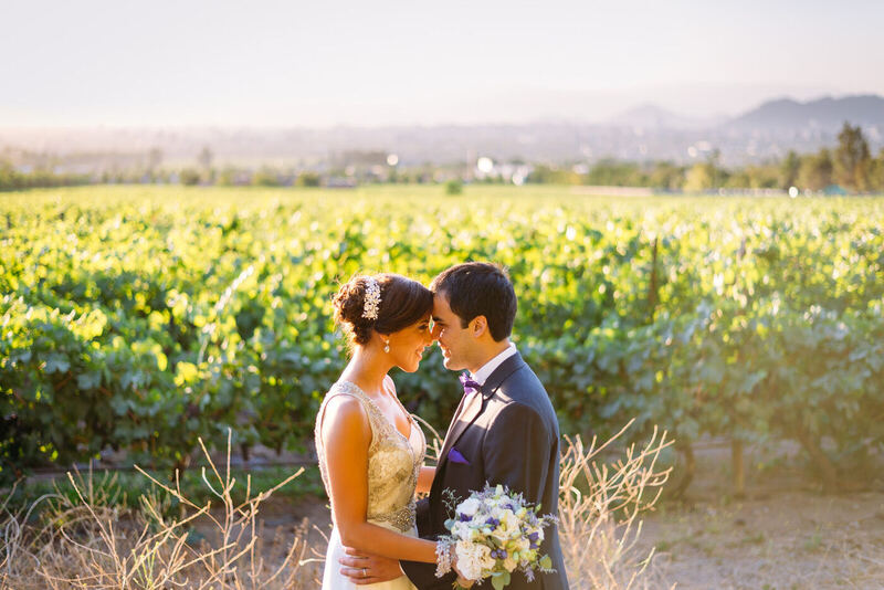 Novios en la viña al atardecer